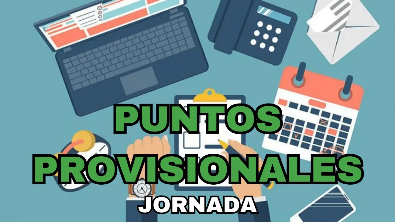 Puntos provisionales
